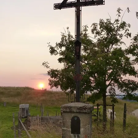 Happy Place Pusteblume Daire