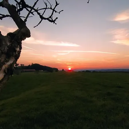 Happy Place Pusteblume Daire Halblech