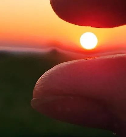 Happy Place Pusteblume