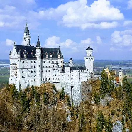 Happy Place Pusteblume Halblech