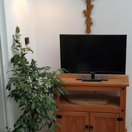 Happy Place Pusteblume Halblech