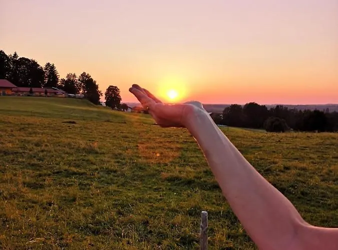 Happy Place Pusteblume