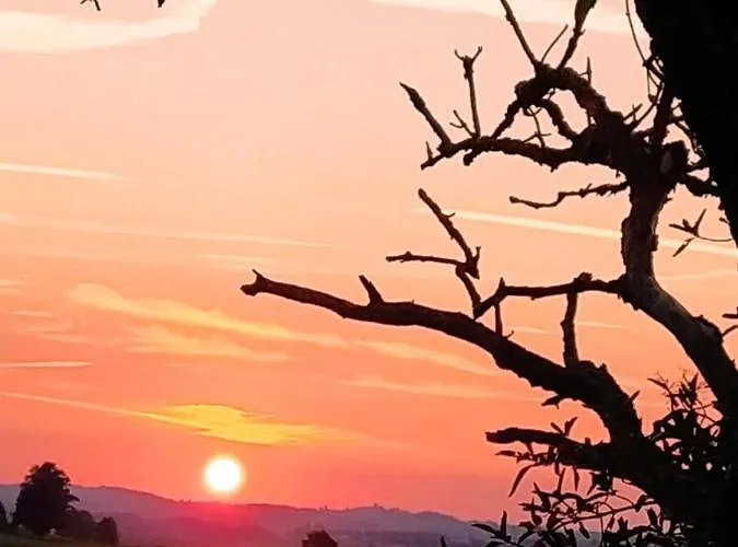 Lägenhet Happy Place Pusteblume Halblech