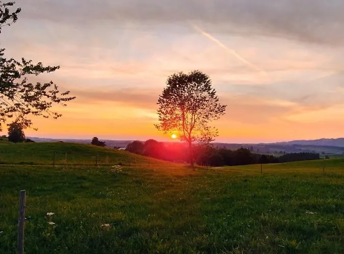 Happy Place Pusteblume *