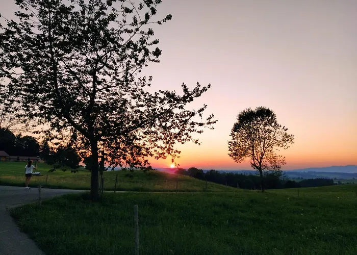 Happy Place Pusteblume * Halblech