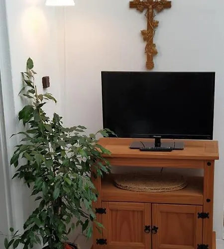 Happy Place Pusteblume Halblech