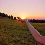 Happy Place Pusteblume