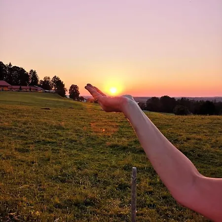 Happy Place Pusteblume