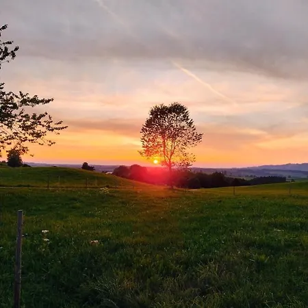 Happy Place Pusteblume *